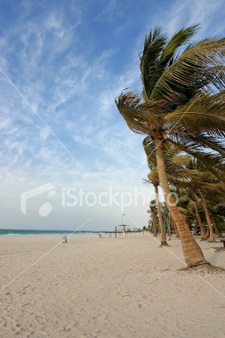 beautiful-jumeirah-beach-dubai-entertainment-concerts-nightlife-1001.jpg